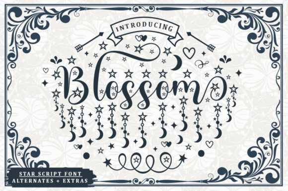 Blossom Font Review: A Script with Personality